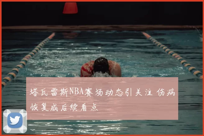 塔瓦雷斯NBA赛场动态引关注 伤病恢复成后续看点