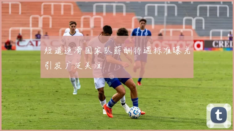 短道速滑国家队薪酬待遇标准曝光引发广泛关注